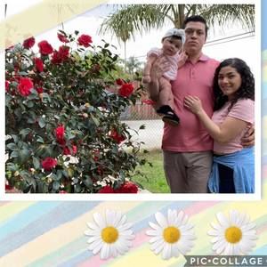 Meet your Posher, Betty